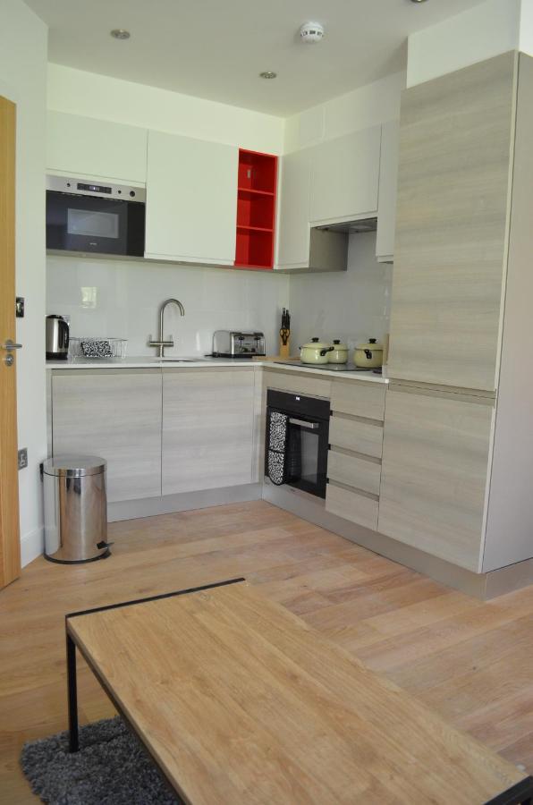 Executive Bright And Airy Studio Apartment In Sydenham Londra Exterior foto